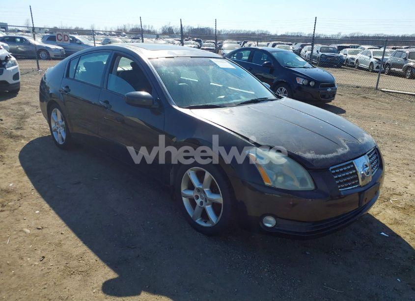 2006 Nissan Maxima 3.5 SE (VIN 1N4BA41E46C832932) main photo