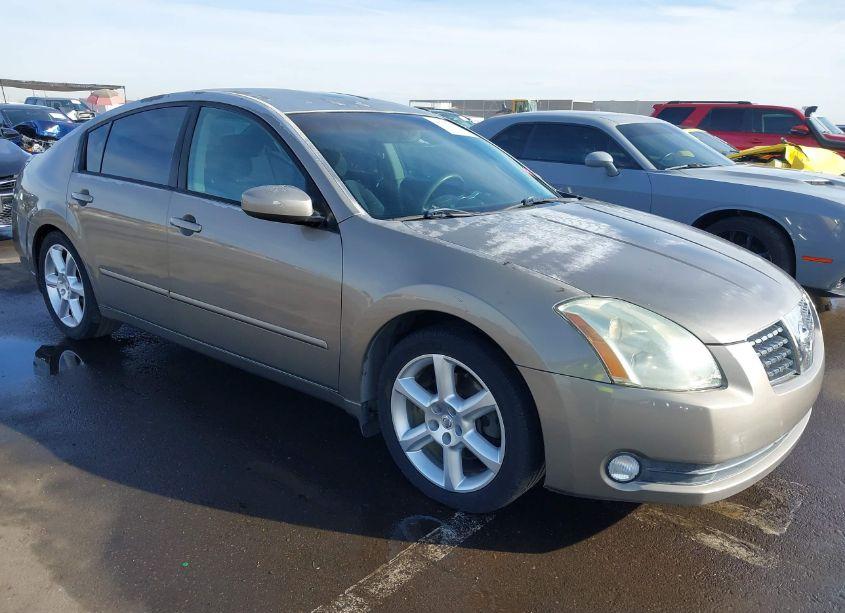 2006 Nissan Maxima 3.5 SE (VIN 1N4BA41E46C839122) main photo