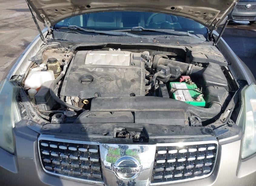 Photo 10 of 2006 Nissan Maxima 3.5 SE (VIN 1N4BA41E46C839122)