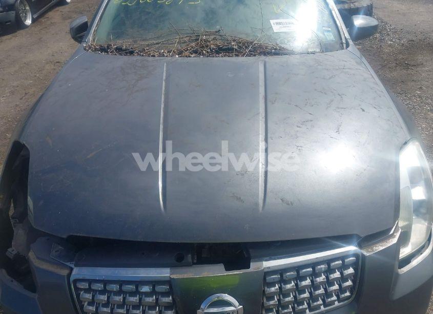 Photo 10 of 2006 Nissan Maxima 3.5 SE (VIN 1N4BA41E46C844871)