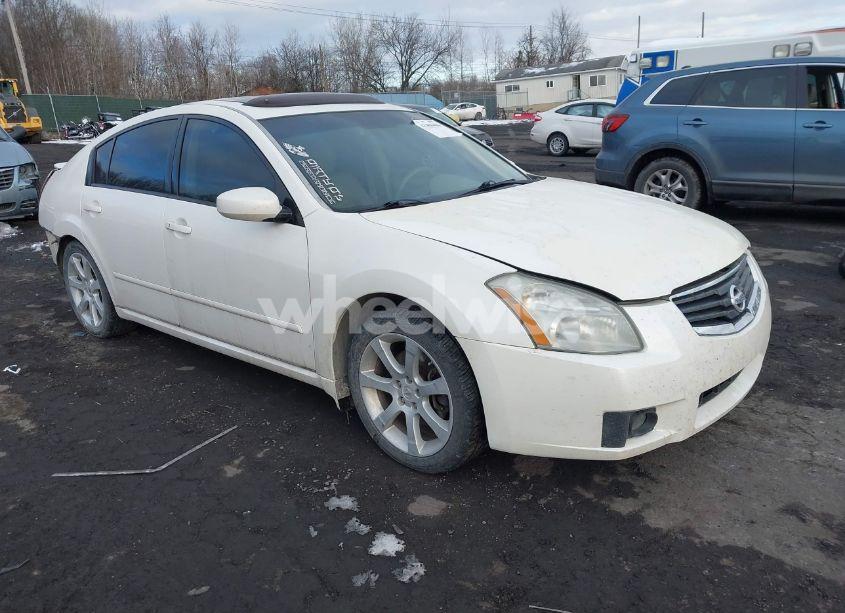 2008 Nissan Maxima 3.5 SE (VIN 1N4BA41E48C810755) main photo