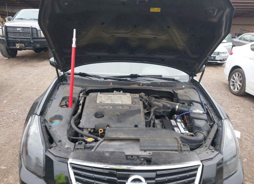 Photo 10 of 2008 Nissan Maxima 3.5 SE (VIN 1N4BA41E48C831217)