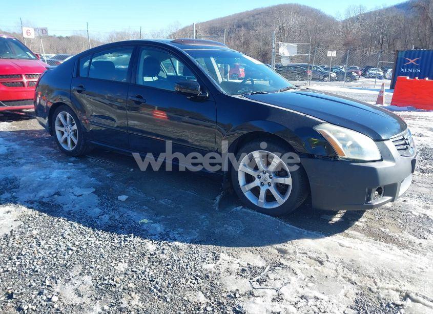 2008 Nissan Maxima 3.5 SE (VIN 1N4BA41E48C837034) main photo