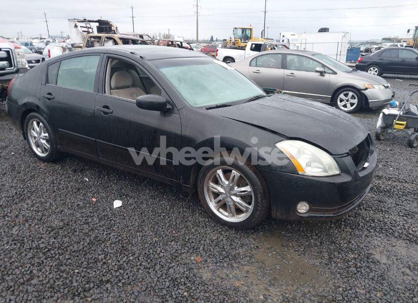 2004 Nissan Maxima 3.5 SE (VIN 1N4BA41E54C821743) main photo