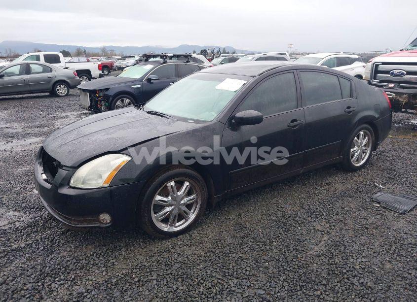 Photo 2 of 2004 Nissan Maxima 3.5 SE (VIN 1N4BA41E54C821743)