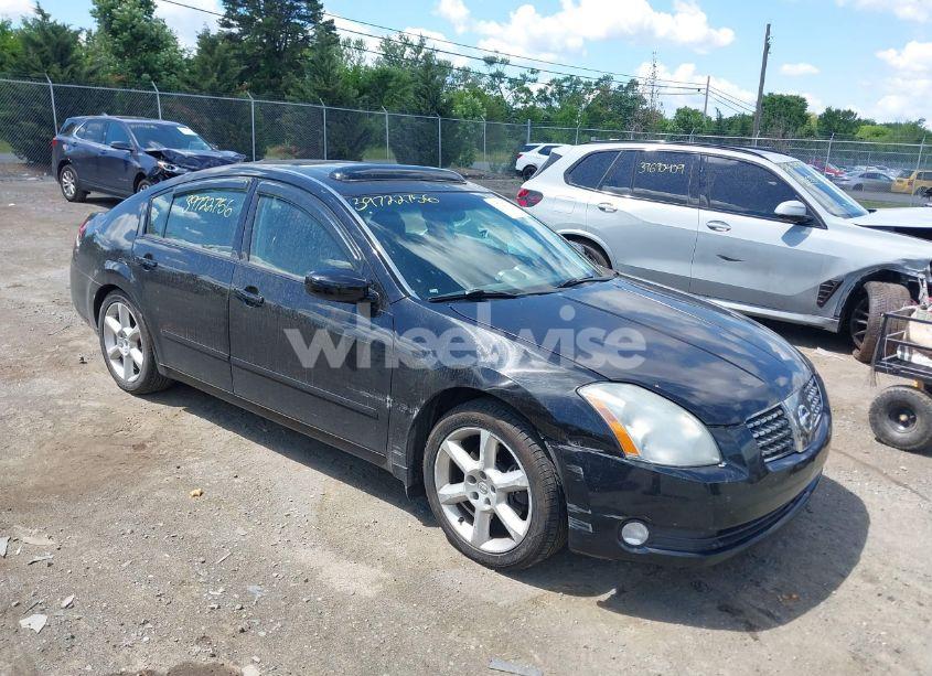 2004 Nissan Maxima 3.5 SE (VIN 1N4BA41E54C855214) main photo