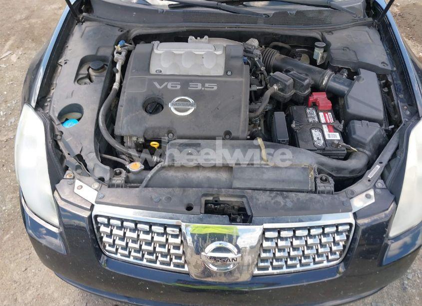 Photo 10 of 2004 Nissan Maxima 3.5 SE (VIN 1N4BA41E54C855214)