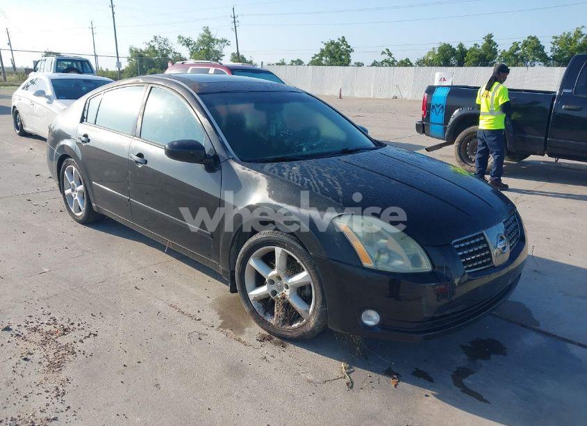 2004 Nissan Maxima 3.5 SE (VIN 1N4BA41E54C895213) main photo