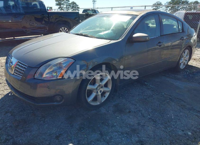 Photo 2 of 2005 Nissan Maxima SE/SL (VIN 1N4BA41E55C857076)