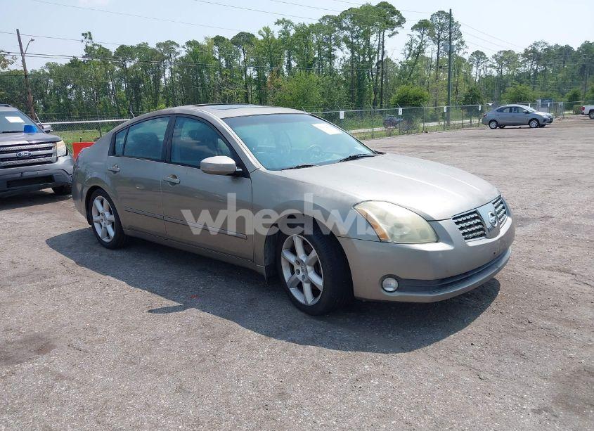 2006 Nissan Maxima 3.5 SE (VIN 1N4BA41E56C805187) main photo