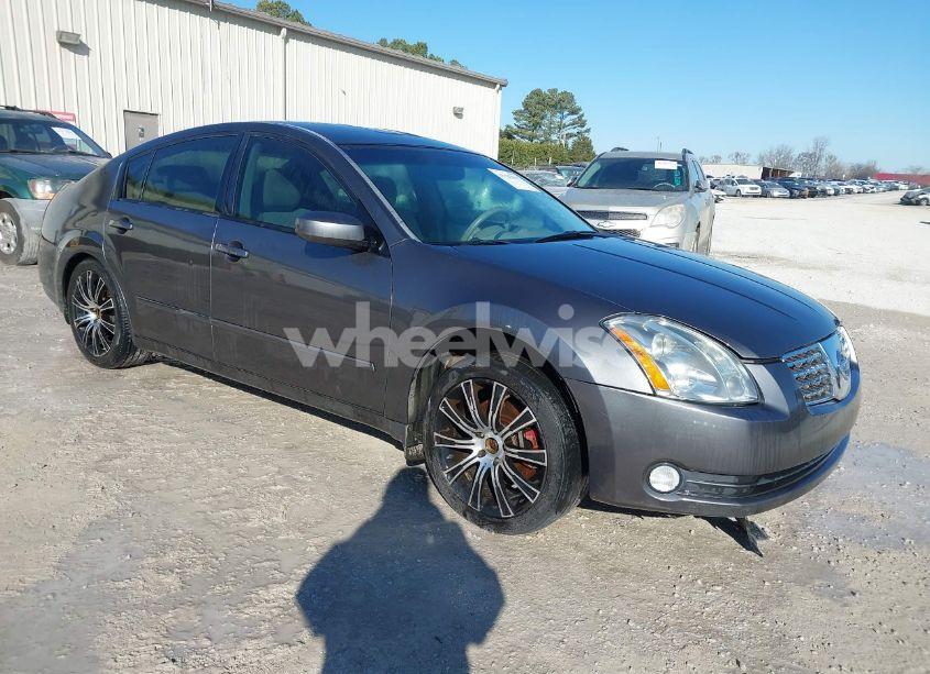 2006 Nissan Maxima 3.5 SE (VIN 1N4BA41E56C824340) main photo