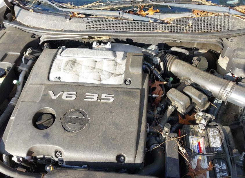 Photo 10 of 2007 Nissan Maxima 3.5 SE (VIN 1N4BA41E57C823853)