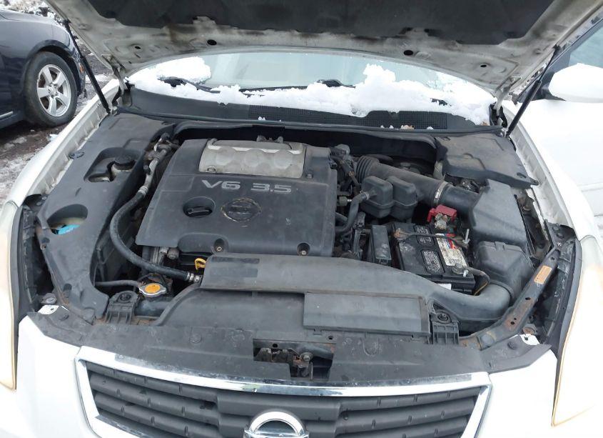 Photo 10 of 2008 Nissan Maxima 3.5 SE (VIN 1N4BA41E58C838855)