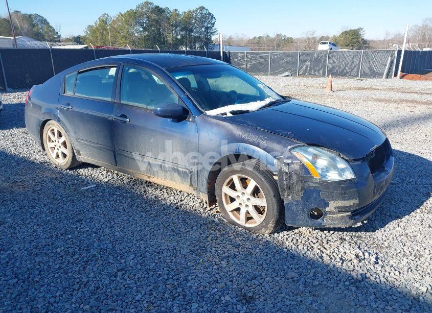 2004 Nissan Maxima 3.5 SL (VIN 1N4BA41E64C829950) main photo