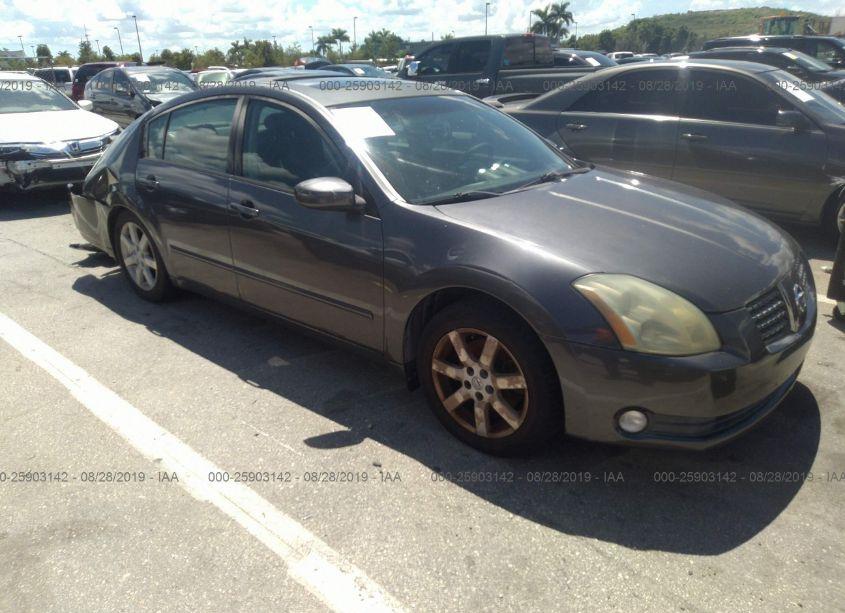 2004 Nissan Maxima 3.5 SL (VIN 1N4BA41E64C893423) main photo
