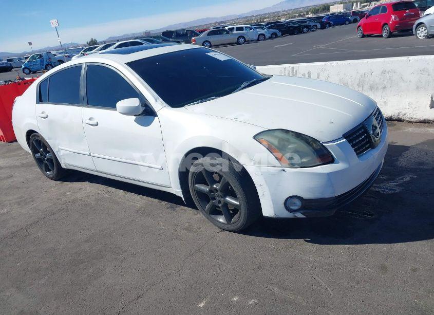 2005 Nissan Maxima 3.5 SE (VIN 1N4BA41E65C843333) main photo