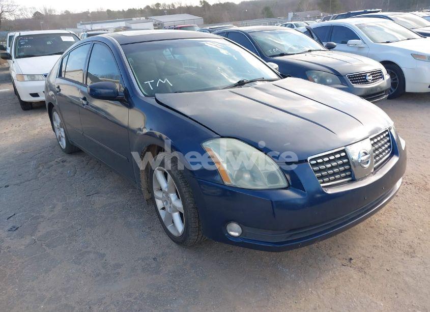 2006 Nissan Maxima 3.5 SE (VIN 1N4BA41E66C819325) main photo