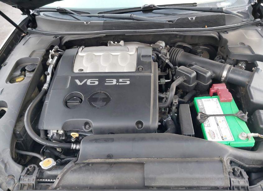 Photo 10 of 2007 Nissan Maxima 3.5 SE (VIN 1N4BA41E67C839057)