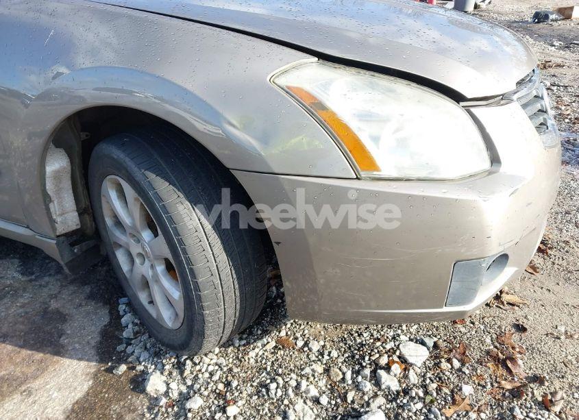 Photo 12 of 2007 Nissan Maxima 3.5 SL (VIN 1N4BA41E67C839852)
