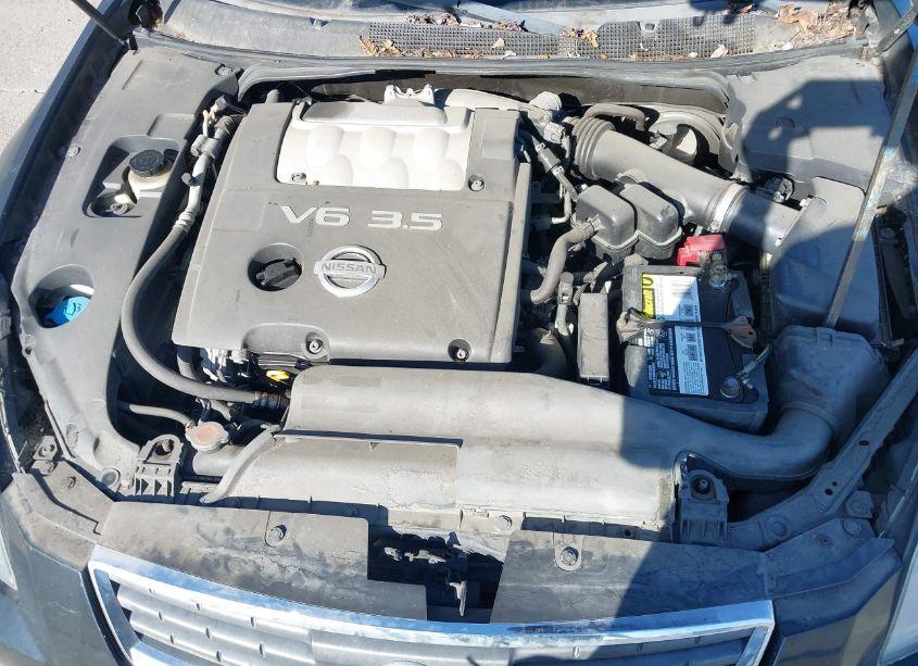 Photo 10 of 2008 Nissan Maxima 3.5 SE (VIN 1N4BA41E68C812541)