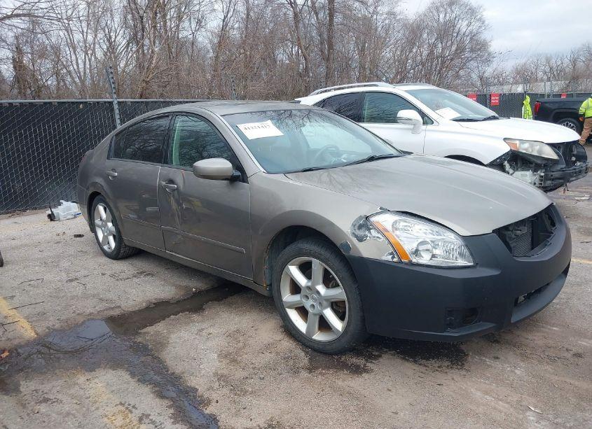 2004 Nissan Maxima 3.5 SE (VIN 1N4BA41E74C807553) main photo