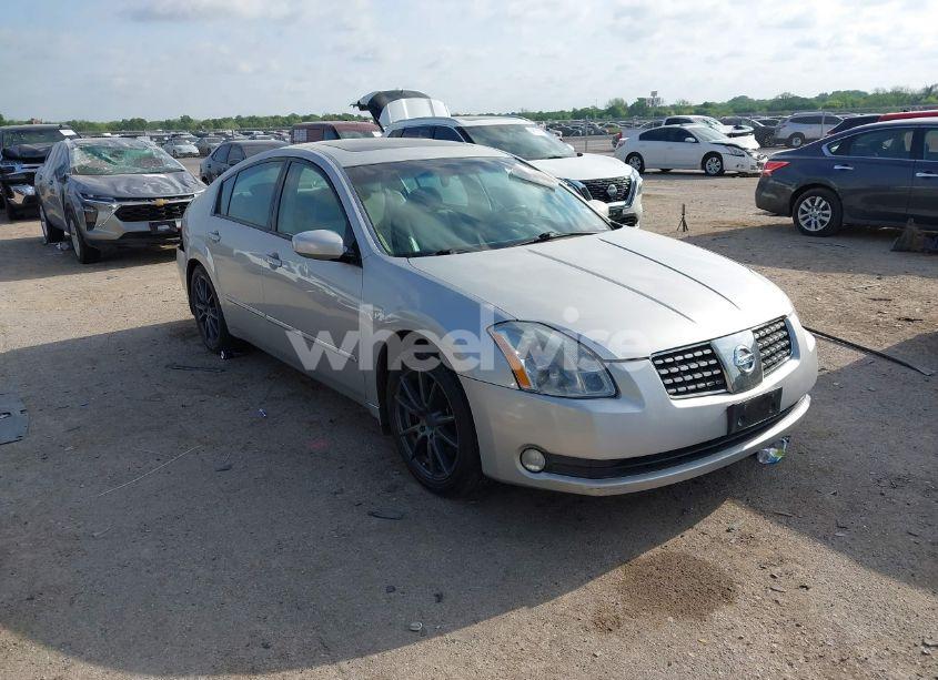 2004 Nissan Maxima 3.5 SE (VIN 1N4BA41E74C853609) main photo