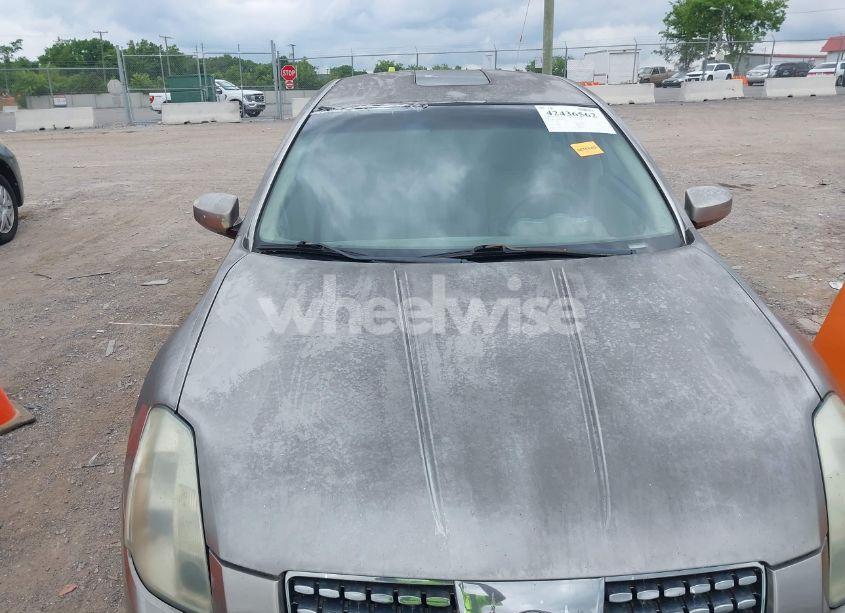 Photo 12 of 2004 Nissan Maxima 3.5 SL (VIN 1N4BA41E74C858809)