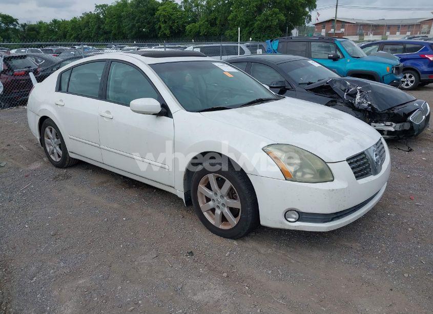 2004 Nissan Maxima SL (VIN 1N4BA41E74C895097) main photo
