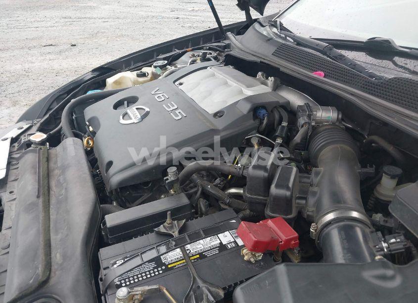 Photo 10 of 2005 Nissan Maxima 3.5 SE (VIN 1N4BA41E75C829487)