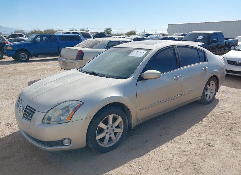 Photo 2 of 2006 Nissan Maxima SE/SL (VIN 1N4BA41E76C857775)