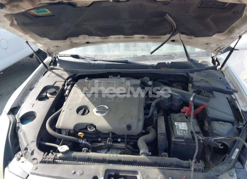 Photo 10 of 2006 Nissan Maxima 3.5 SE (VIN 1N4BA41E76C859364)