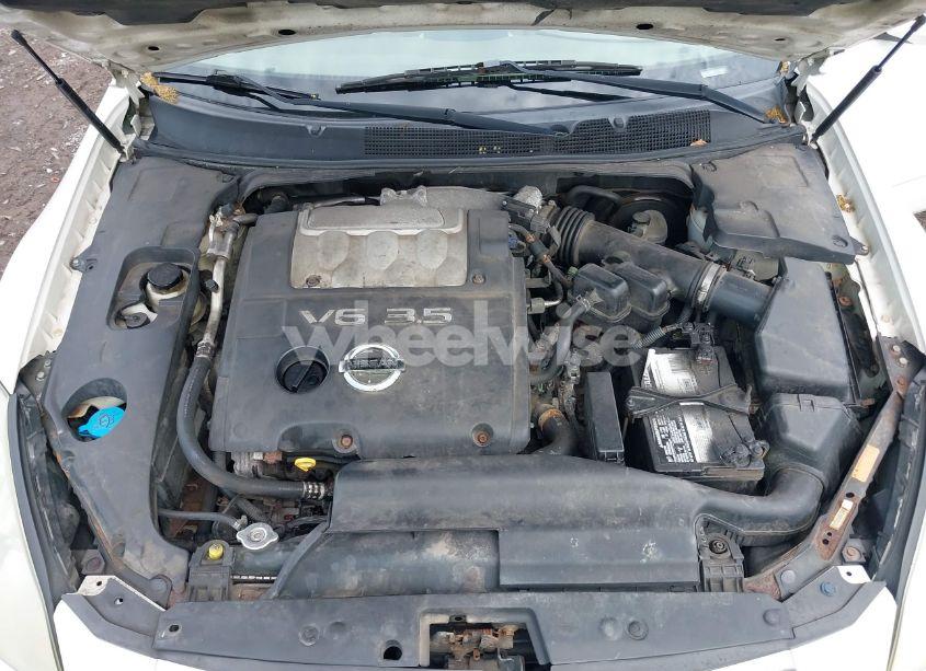 Photo 10 of 2007 Nissan Maxima 3.5 SE (VIN 1N4BA41E77C820758)