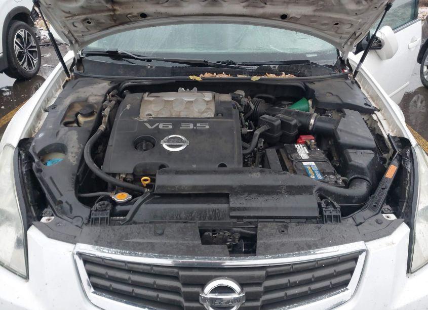 Photo 10 of 2007 Nissan Maxima 3.5 SE (VIN 1N4BA41E77C863903)