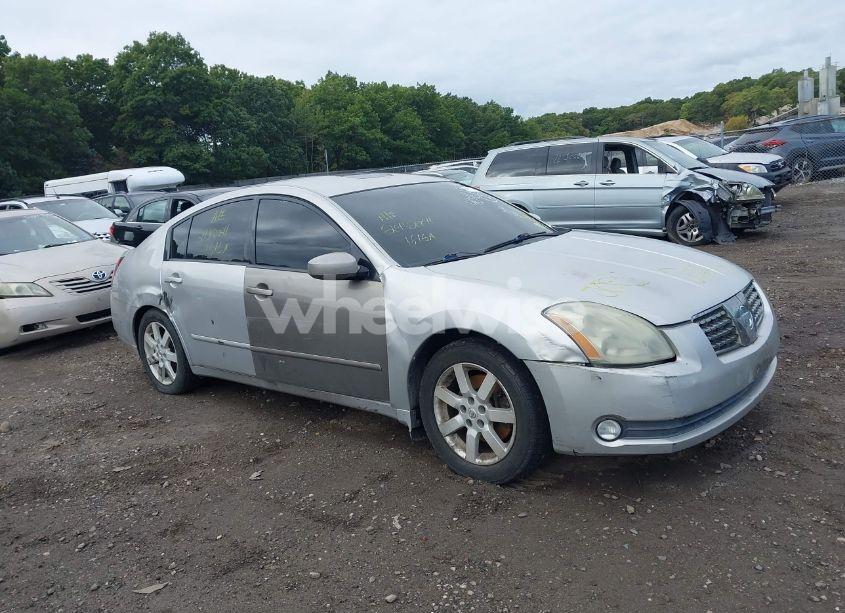 2004 Nissan Maxima 3.5 SL (VIN 1N4BA41E84C814141) main photo
