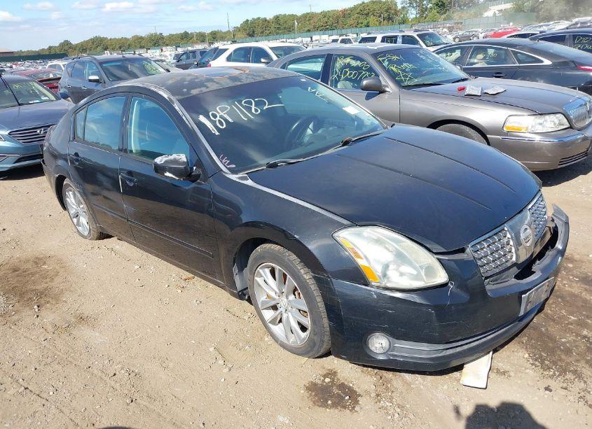 2004 Nissan Maxima 3.5 SE (VIN 1N4BA41E84C843770) main photo