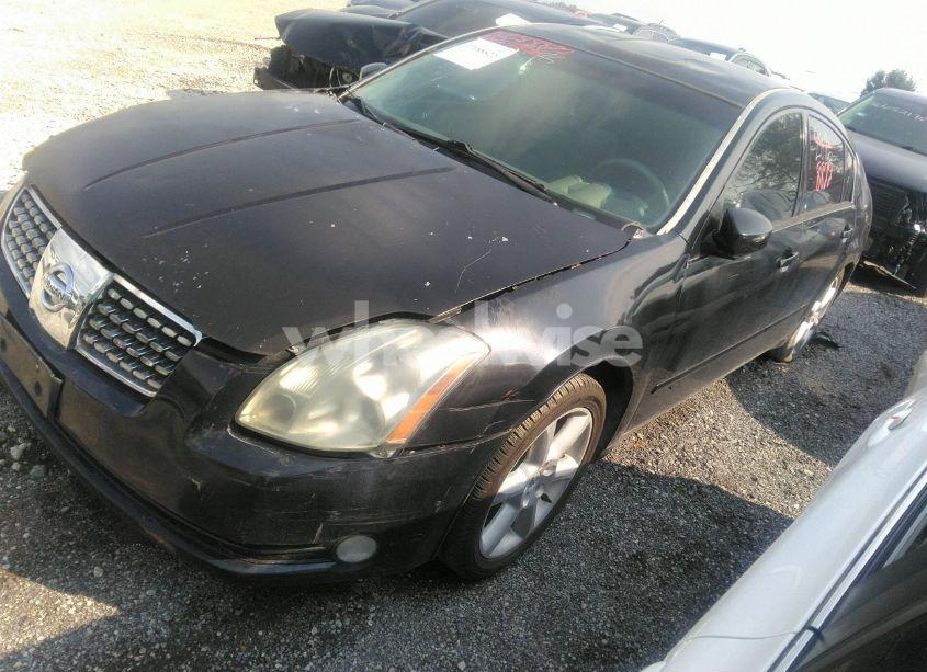 Photo 2 of 2005 Nissan Maxima 3.5 SE (VIN 1N4BA41E85C858786)