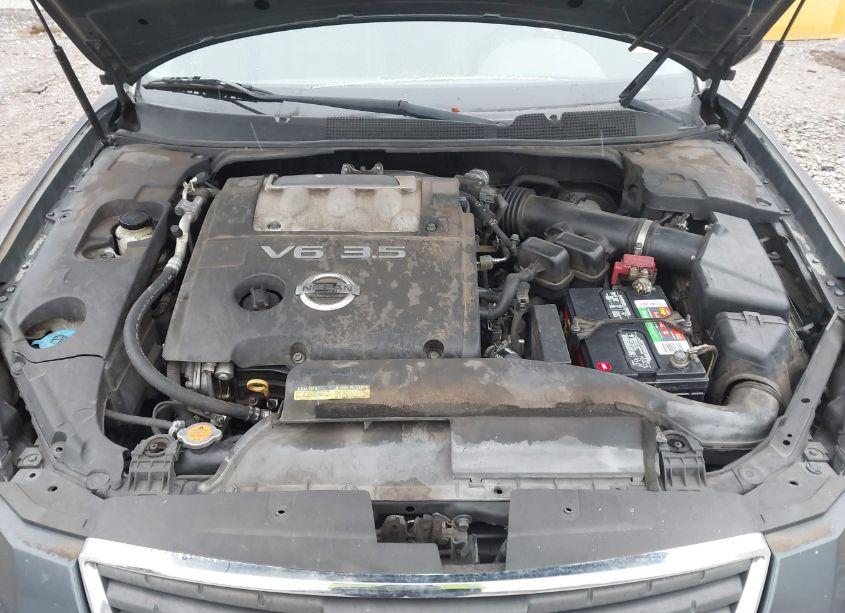 Photo 10 of 2008 Nissan Maxima 3.5 SE (VIN 1N4BA41E88C814467)
