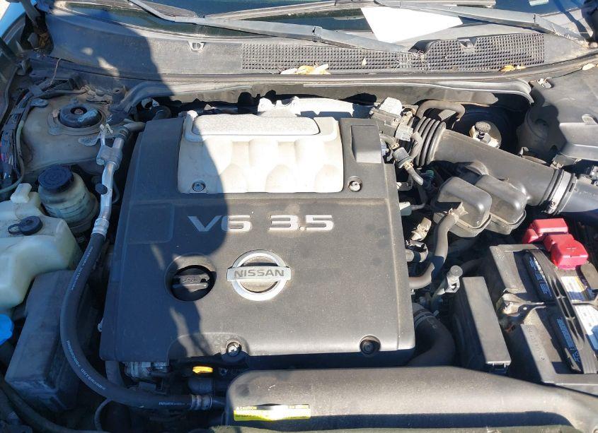 Photo 10 of 2008 Nissan Maxima 3.5 SE (VIN 1N4BA41E88C830782)