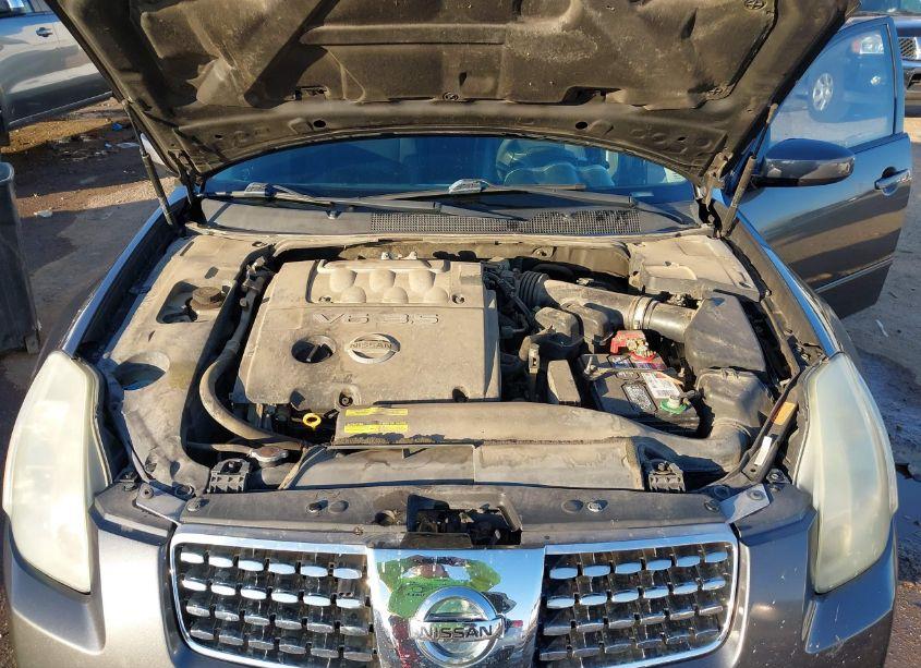 Photo 10 of 2006 Nissan Maxima 3.5 SL (VIN 1N4BA41E96C819366)