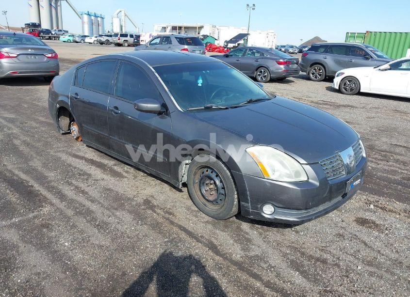 2006 Nissan Maxima 3.5 SE (VIN 1N4BA41E96C822266) main photo