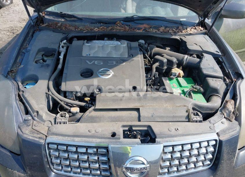 Photo 10 of 2006 Nissan Maxima 3.5 SE (VIN 1N4BA41E96C823563)