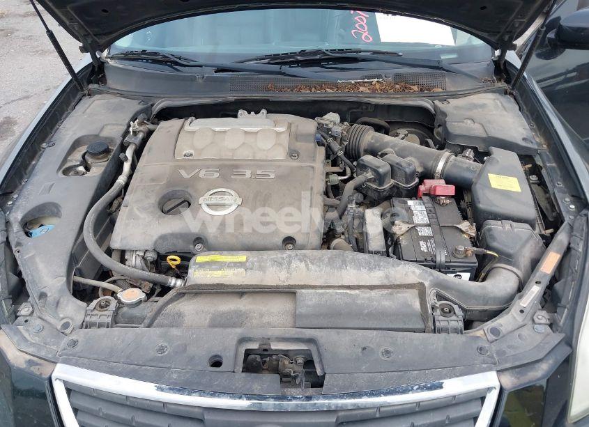 Photo 10 of 2007 Nissan Maxima 3.5 SE (VIN 1N4BA41E97C801421)