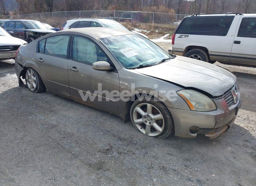 2004 Nissan Maxima 3.5 SE (VIN 1N4BA41EX4C821723) main photo