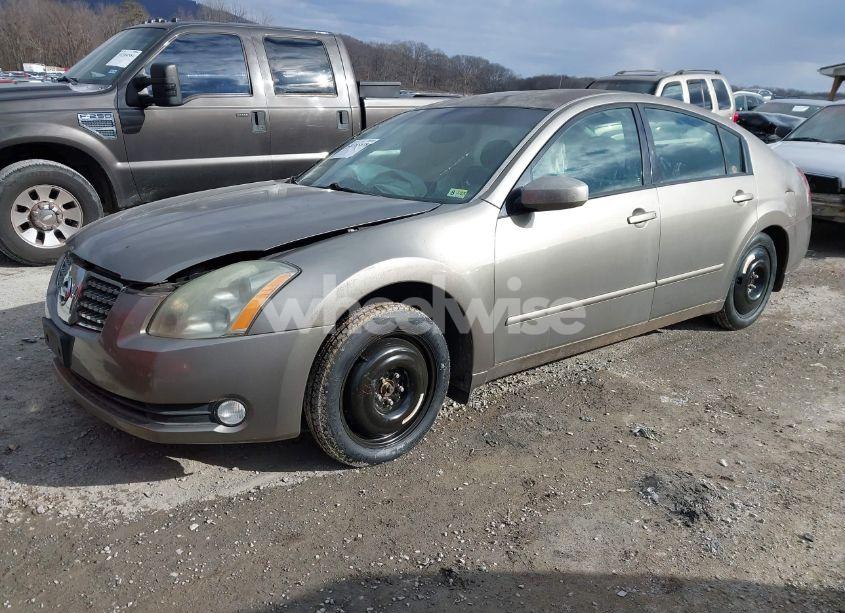 Photo 2 of 2004 Nissan Maxima 3.5 SE (VIN 1N4BA41EX4C821723)