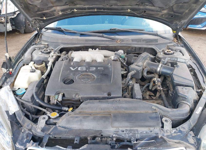 Photo 10 of 2006 Nissan Altima 3.5 SE (VIN 1N4BL11D06N423525)