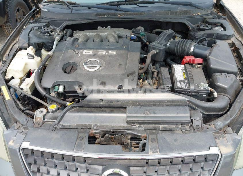 Photo 10 of 2005 Nissan Altima 3.5 SE (VIN 1N4BL11D55C167862)