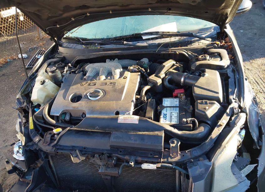 Photo 10 of 2006 Nissan Altima 3.5 SE (VIN 1N4BL11D56N338373)