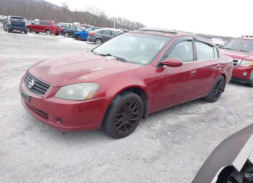 Photo 2 of 2006 Nissan Altima 3.5 SE (VIN 1N4BL11D66C245129)
