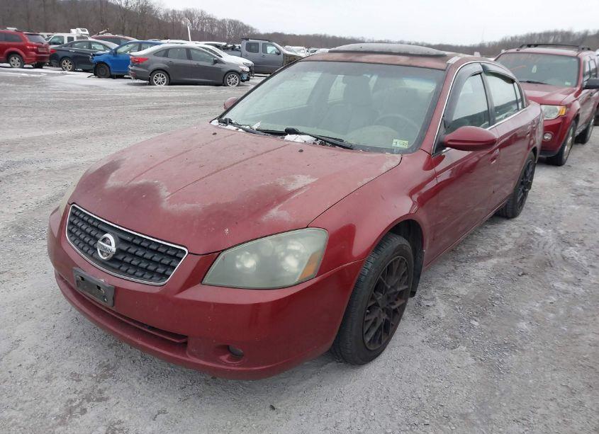 Photo 6 of 2006 Nissan Altima 3.5 SE (VIN 1N4BL11D66C245129)