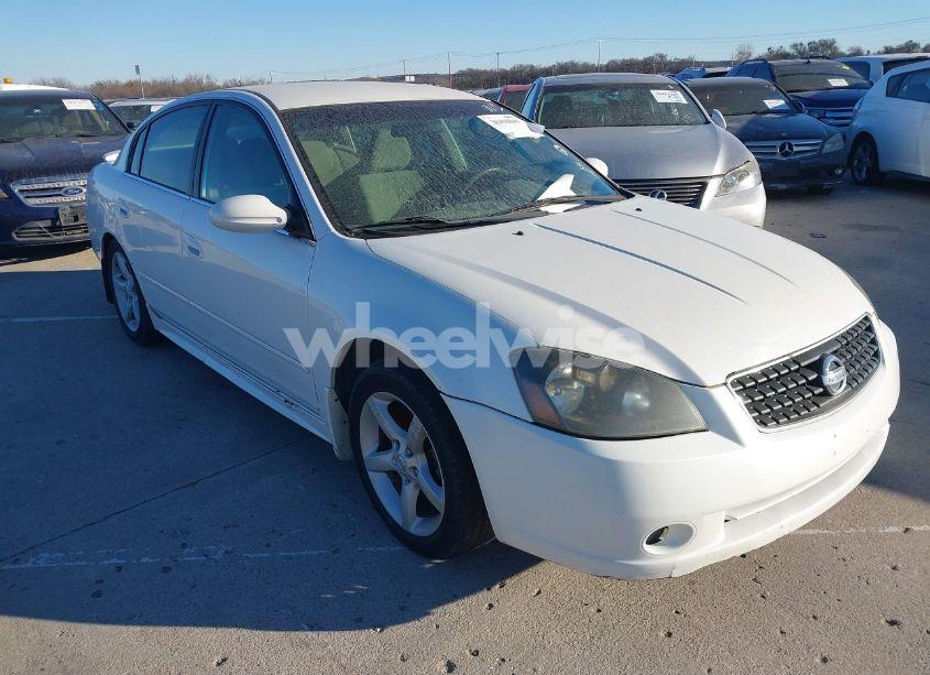 2006 Nissan Altima 3.5 SE (VIN 1N4BL11E36N384745) main photo